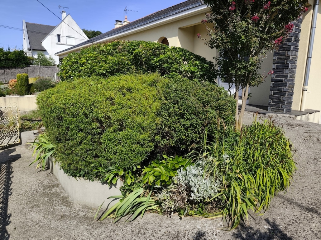 entretien de jardins à Orvault par Mes Jardiniers
