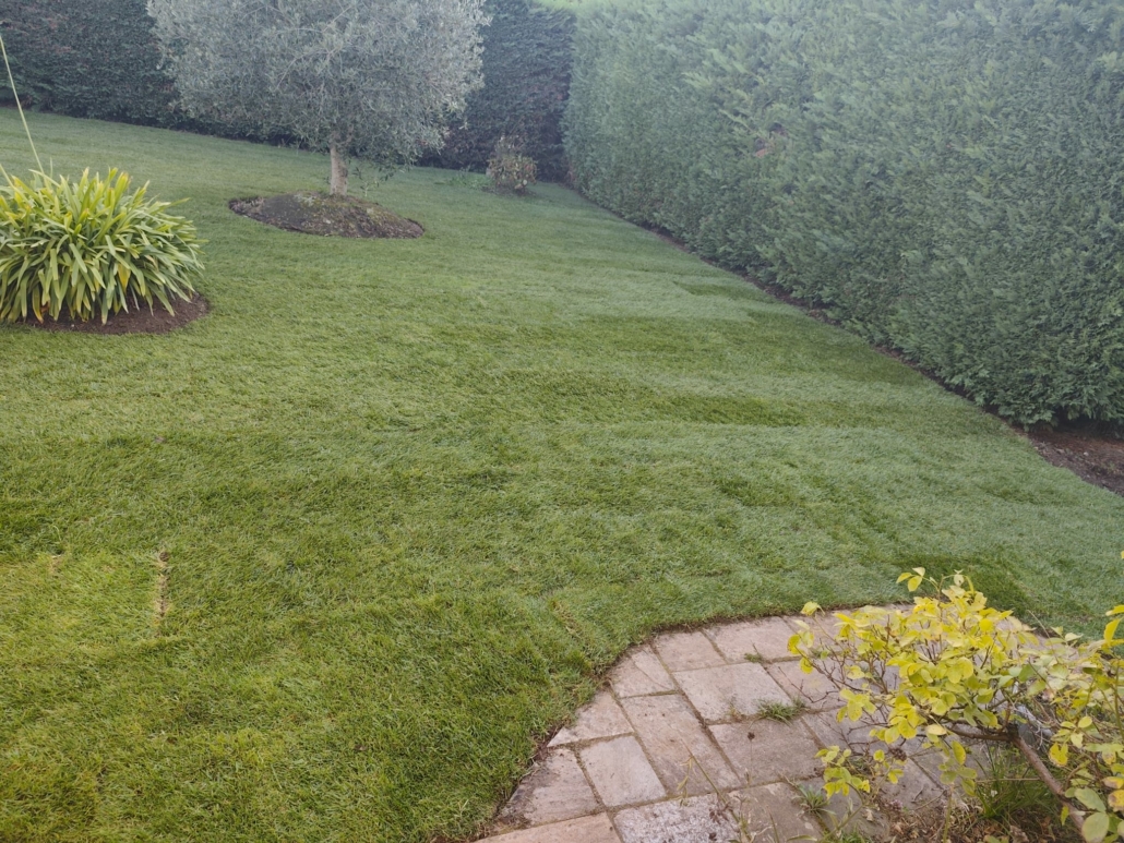 Entretien de jardin à Saint Herblain par mes jardiniers