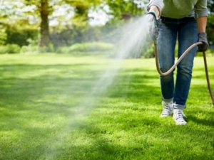 arrosage et entretien du gazon