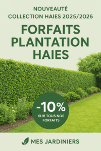 ChatGPT Image 12 nov. 2025, 12_41_24