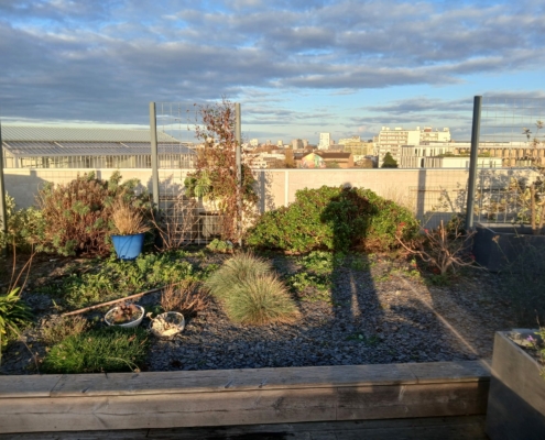 rénovation des jardins sur l'ile de nantes