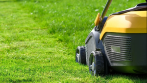 Tonte de pelouse mesjardiniers à Nantes 